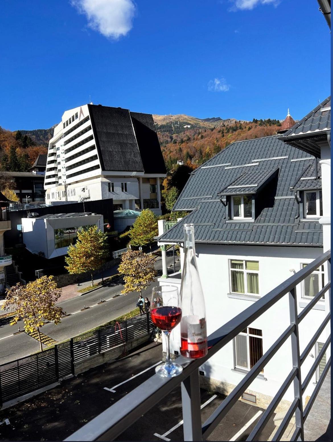 Ana Apartments Sinaia Exterior foto